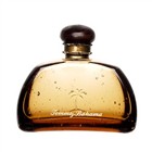 tommy bahama